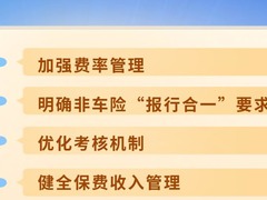 新华社权威快报|非车险“报行合一”落地