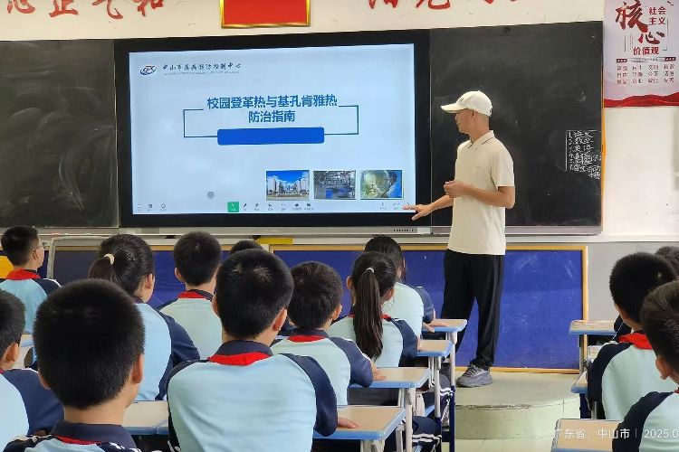 西区街道：“小手拉大手”织密蚊媒防控安全网