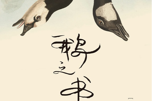 荐书丨讲述两个女孩的写作与命运,《鹅之书》中文版上市