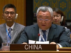 中国：支持延长海地制裁机制 需考虑综合措施