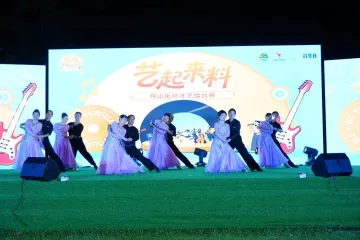 文明新韵映坪山，“节庆+”激活城区发展新动能