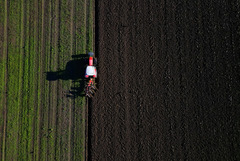 （外代一线）（2）欧洲的秋