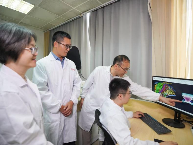 精确到毫秒级！科学家揭秘神经“信使”传递机制