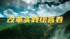 微视频｜改革实践绘答卷