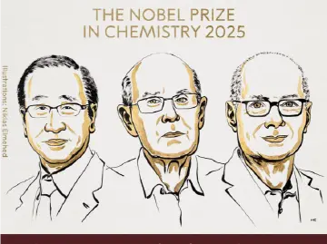 诺贝尔化学奖授予3位“分子积木”科学家，他们的奖金怎么分？