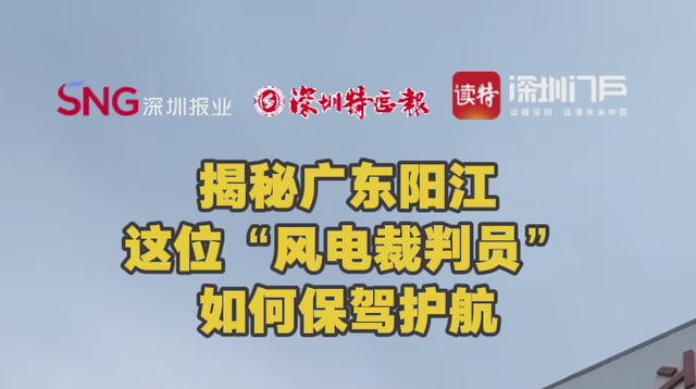 揭秘广东阳江这位“风电裁判员”如何保驾护航