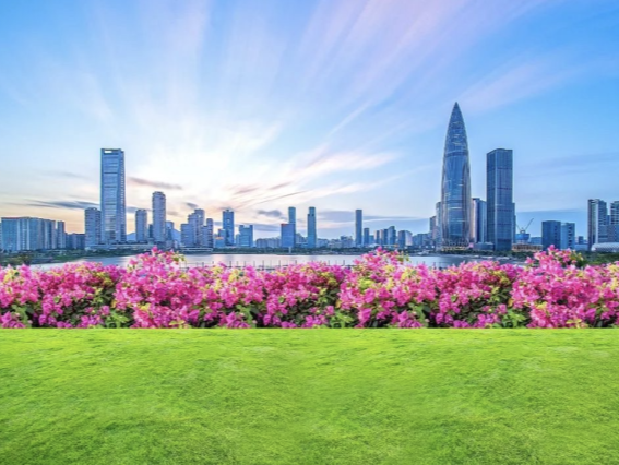 5.2%，成绩不易，信心不变