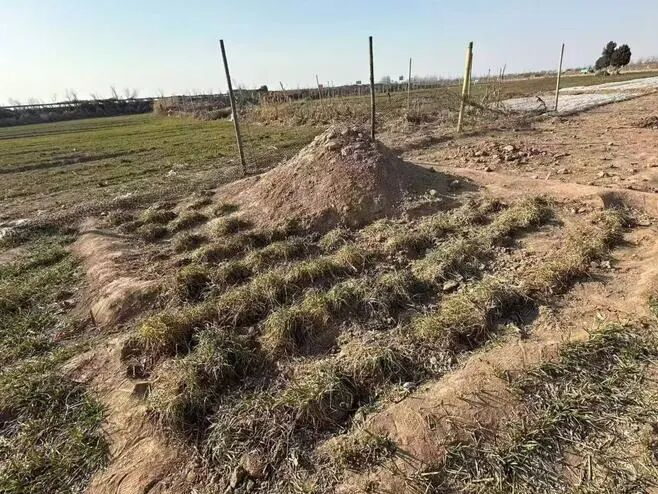 男子在弟弟坟头炸死3名侄女，受害人家属：凶手已被执行死刑 