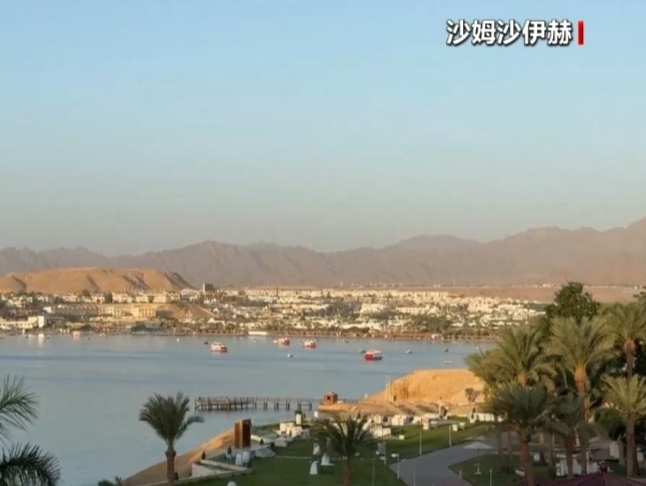 以色列和哈马斯新一轮停火谈判7日将继续