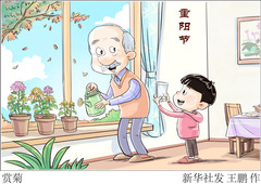 （图表·漫画）重阳节丨赏菊