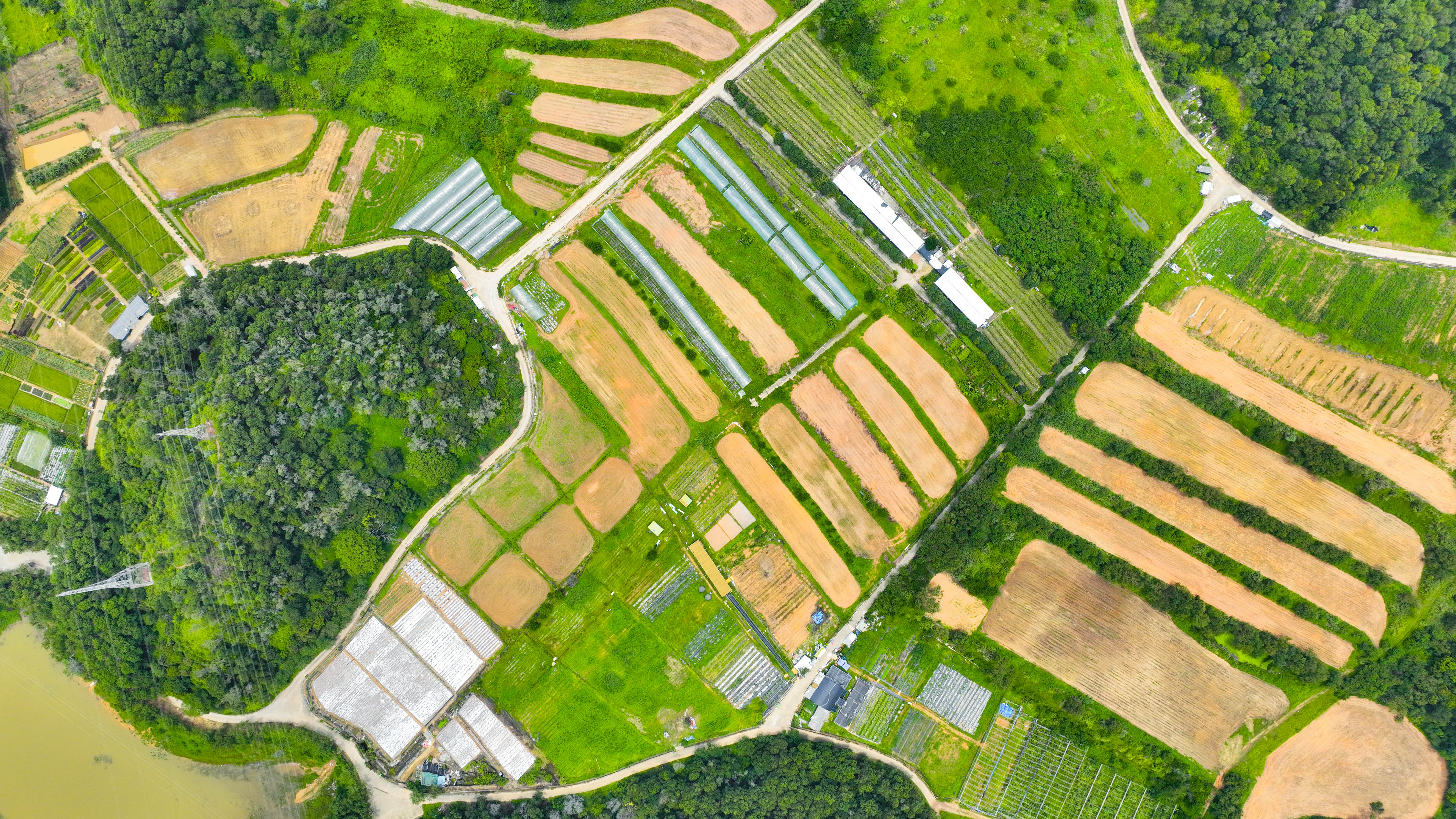 守护“一亩三分地”的坪山智慧