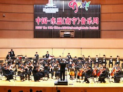 当“中国绿城”遇见东盟 这里的文化“月”玩越嗨