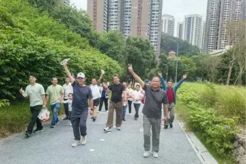 岁岁重阳，登高赏秋