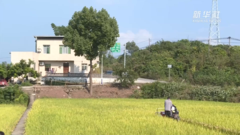 “吨粮田”是如何炼成的？