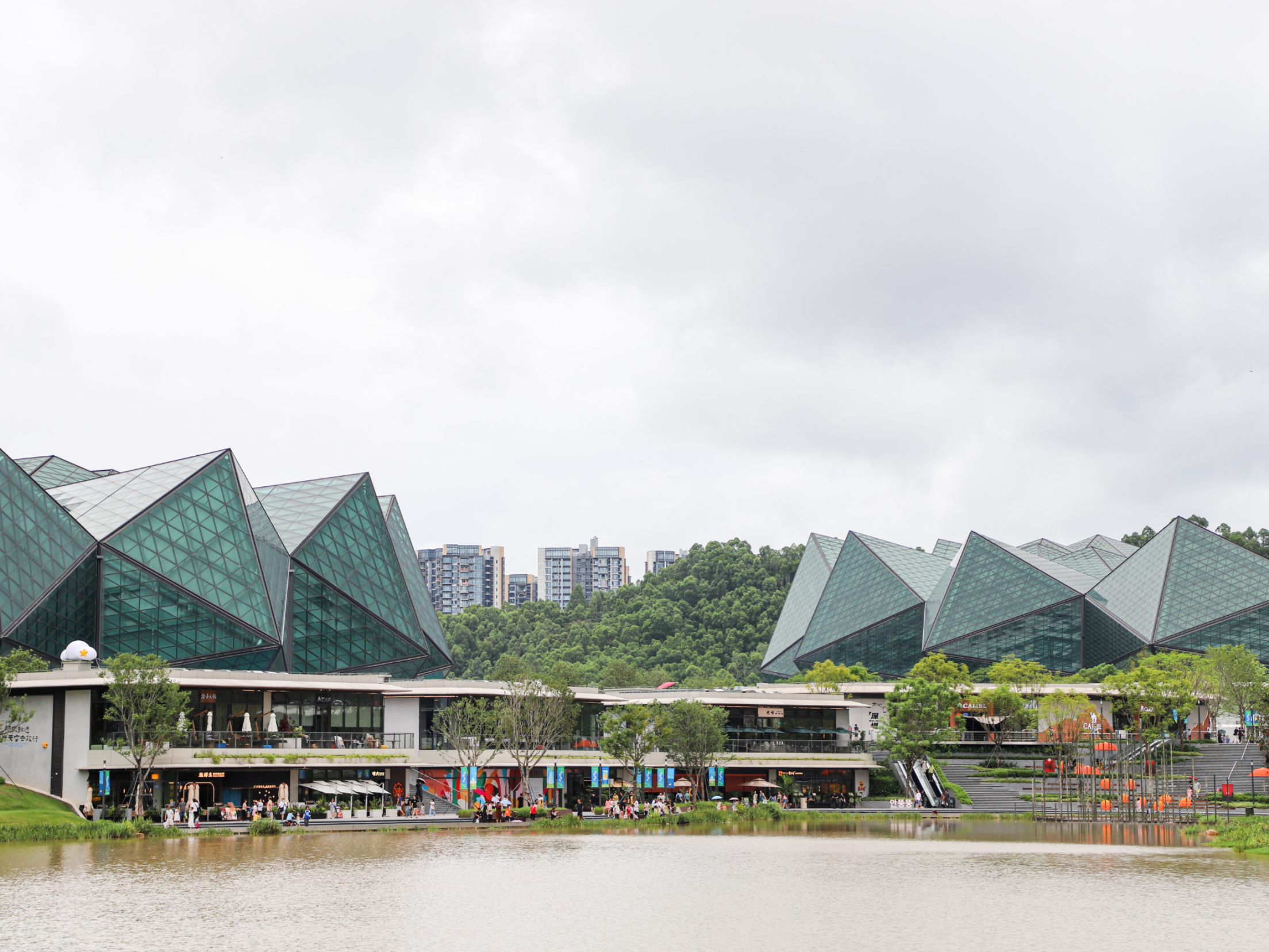 跟着十五运游深圳 | 大运观赛前后，在森林湖边松弛漫游