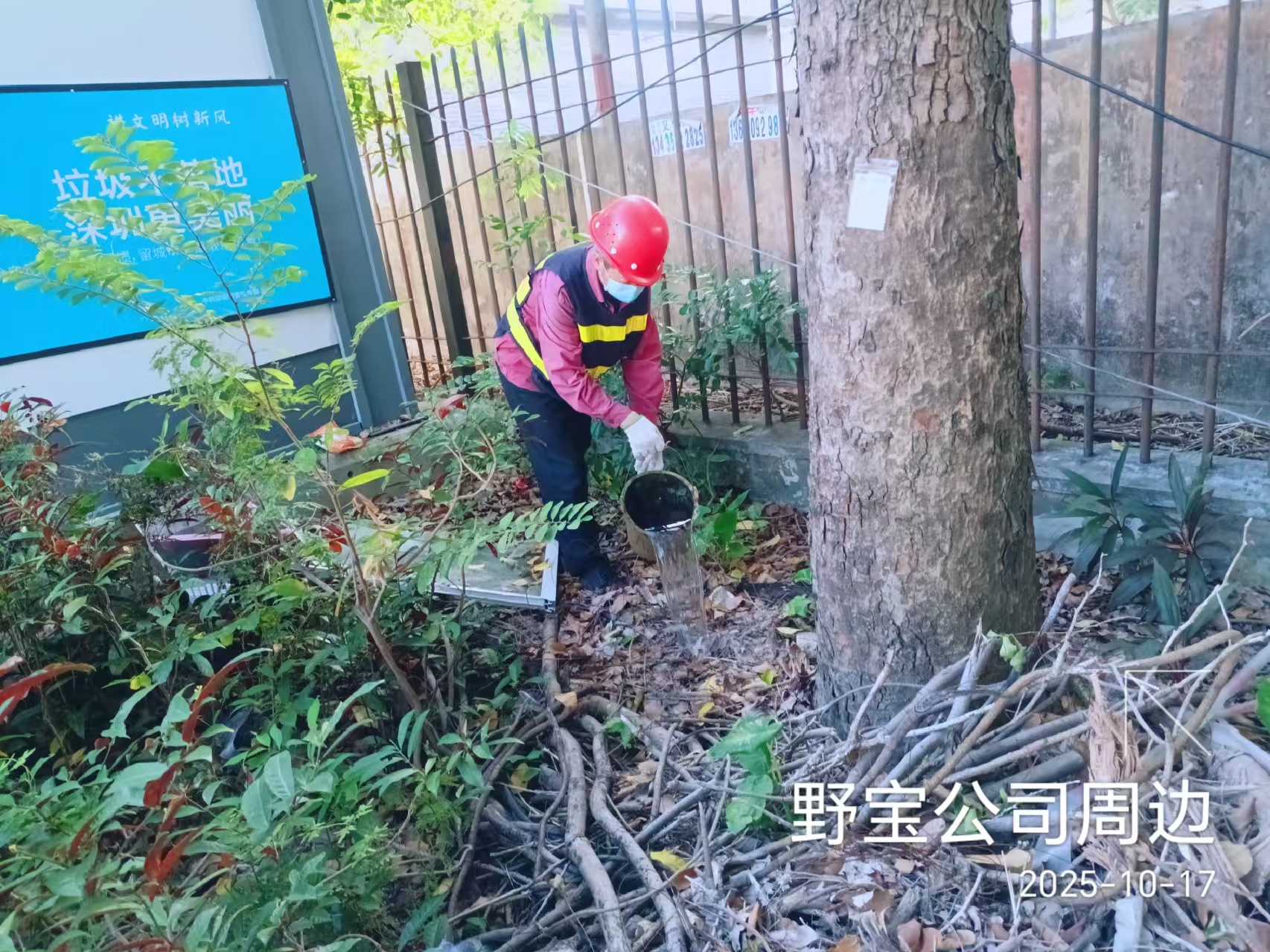 坪山新时代文明实践｜守护健康 筑牢基孔肯雅热防控屏障