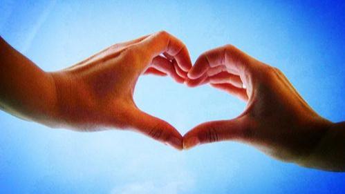 首批泰康溢彩公益保单落地