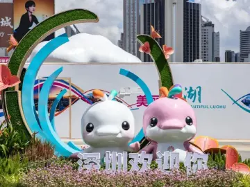 为什么偏要去深圳?深圳到底有谁在啊?这次还真非去不可