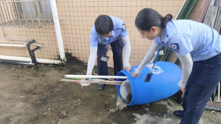 松岗网格开展“两热”防控培训 全面织牢防蚊防护网