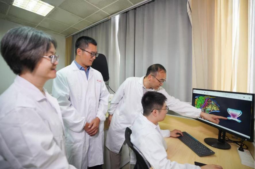 精确到毫秒级!中科院深圳先进院联合破解神经突触传递机制