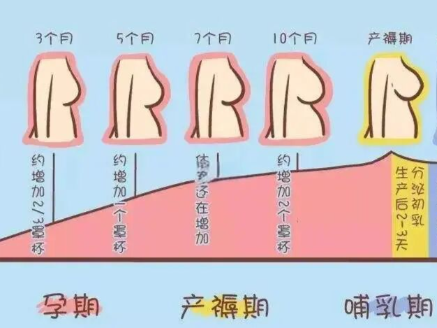 专家科普|孕期乳头皲裂,这5招收好