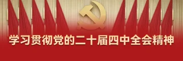 学习贯彻党的二十届四中全会精神