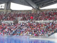 国庆上海海昌200场活动热闹开演 “青铜人面水舞秀”成亮点