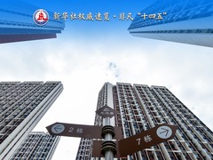 新华社权威速览·非凡“十四五”| 从这四个关键词，看百姓“安居”成绩单！