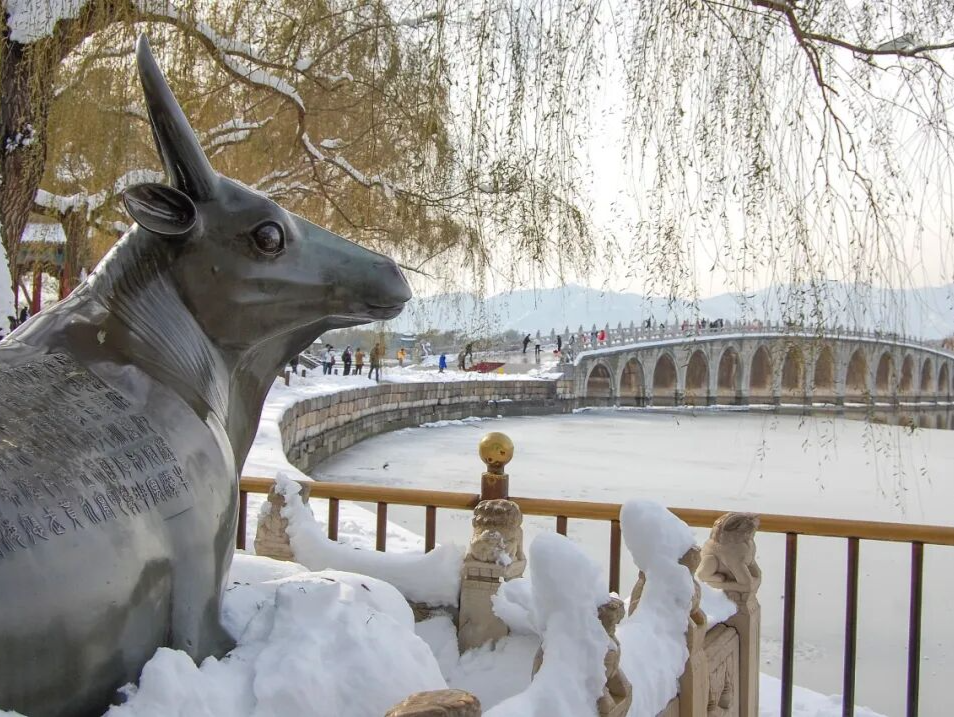 今冬会更冷吗？国家气候中心回应