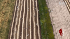 千城百县看中国｜内蒙古：秋韵牧野 鹤影栖田