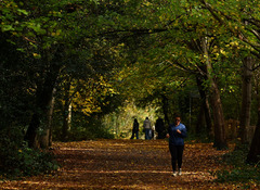 （外代一线）（7）欧洲的秋