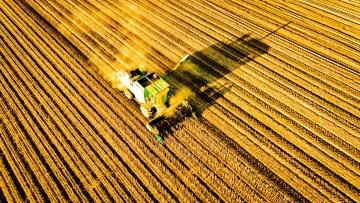 镜头里的十四五·农业|大豆规上产业规模集聚效应凸显