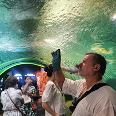 上海前三季度接待入境游客超632万人次