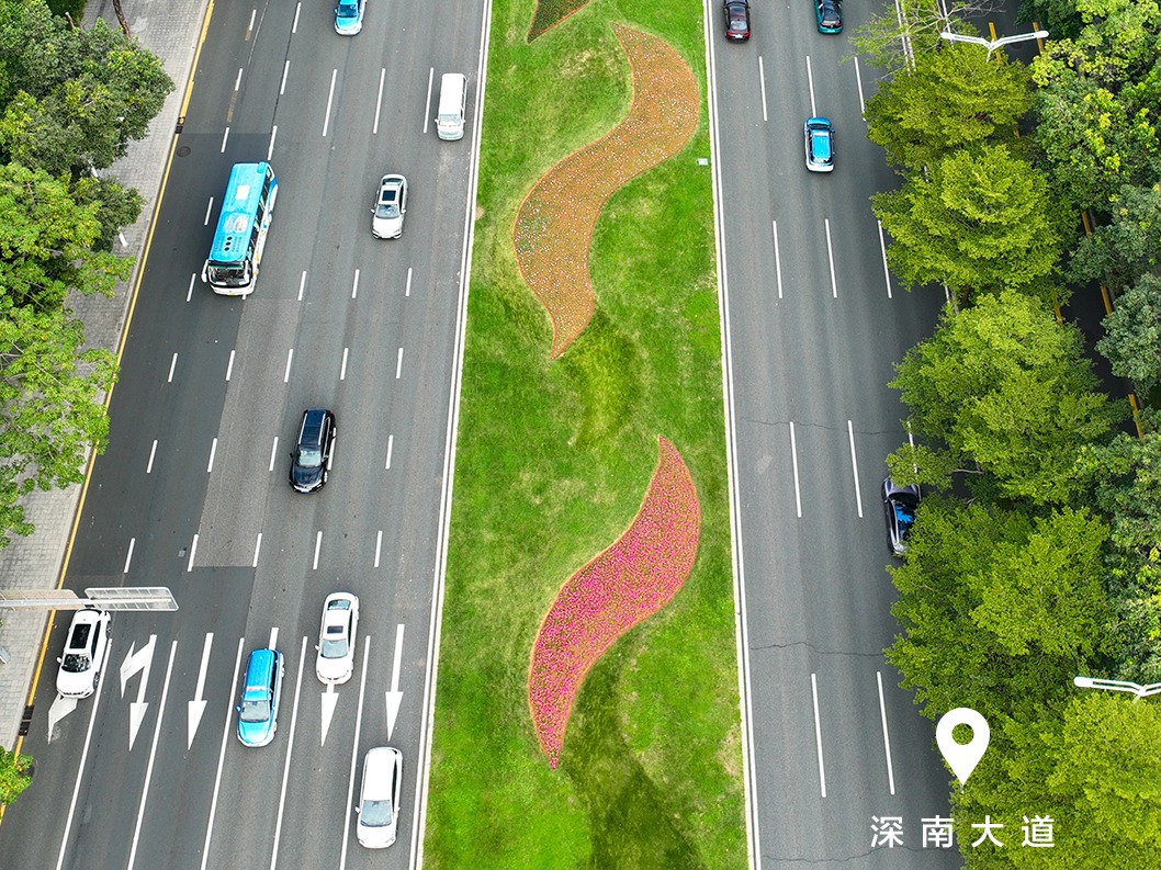 美丽深圳·每日一图｜2025年11月1日