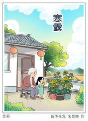 （图表·漫画）二十四节气·寒露｜赏菊
