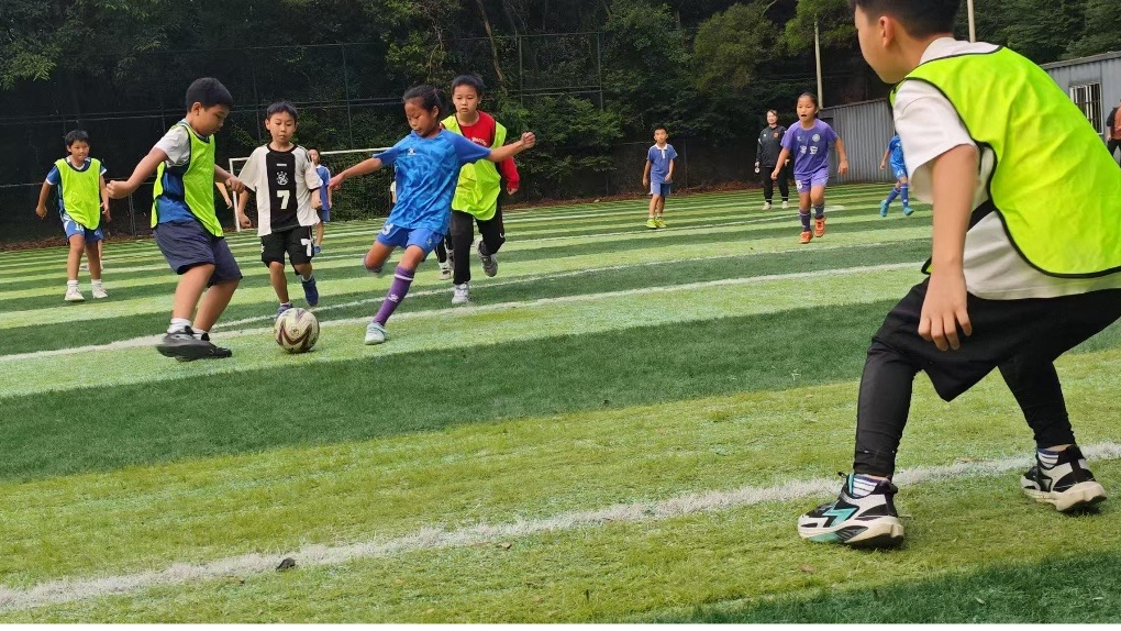 新桥黄埔社区“欢乐足球,和谐邻里”活动圆满落幕