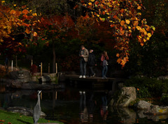 （外代一线）（8）欧洲的秋