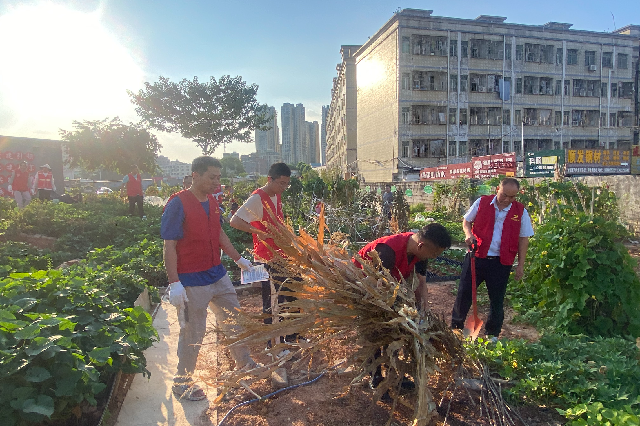 深巴第二分公司布吉党支部联合社区共绘绿美家园