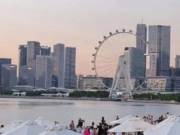 深圳一周丨各区书记区长在忙啥？（10月13日-10月19日）