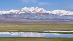雪豹，缘何成为高原生态“晴雨表”