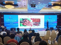 跟着非遗去旅游 沪疆共谱文旅合作新篇章