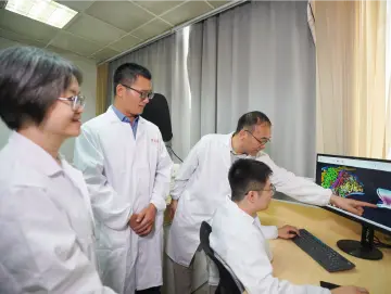 精确到毫秒级！深圳科学家联合揭秘神经“信使”传递机制