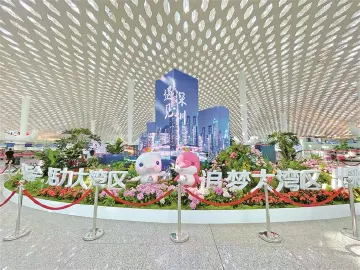 晶报说 | 冲刺！深圳加速度