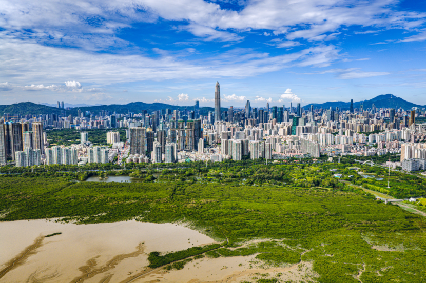 美美与共!2025国际红树林之夜将在深启幕