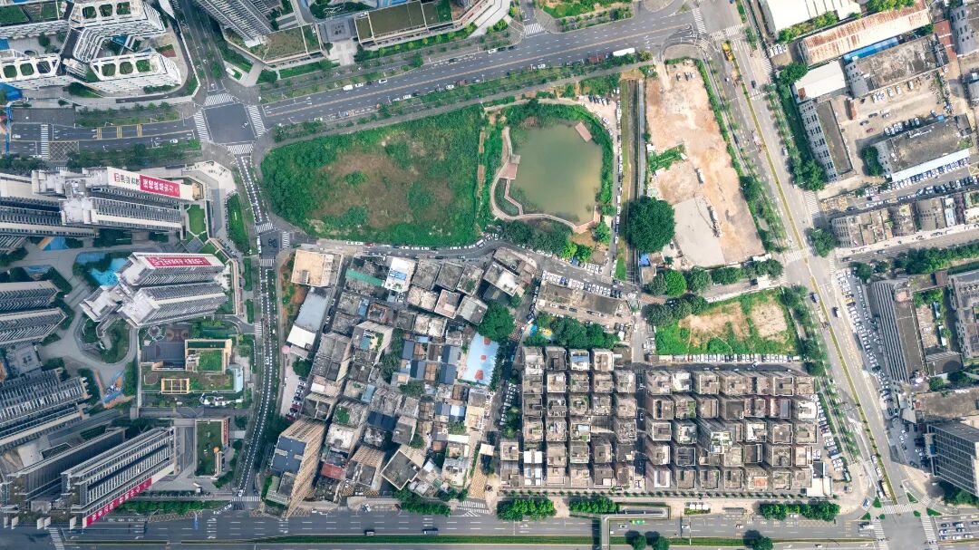 居民直呼幸福感拉满！光明这个街道做了这些事……