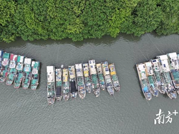 第24号台风将生成，广东省三防办部署防御工作