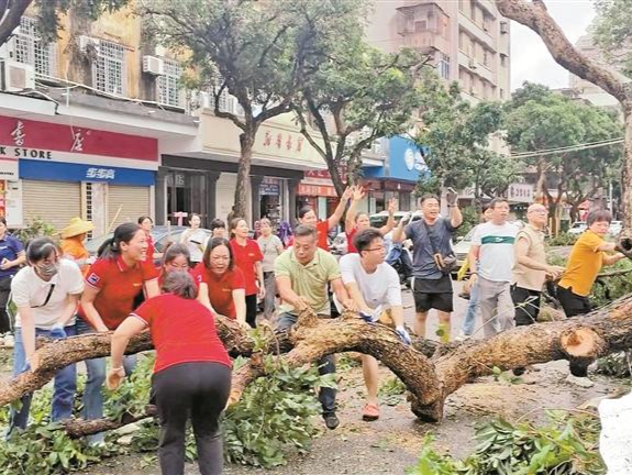 台风“麦德姆”过后，湛江打响灾后重建攻坚战  
