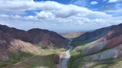 祁连山深处的雪豹“守护者”