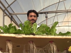 利比亚首都一农场使用水培技术生产蔬菜