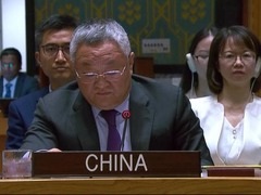 中国代表：对镇压海地黑帮部队前景表示担忧 